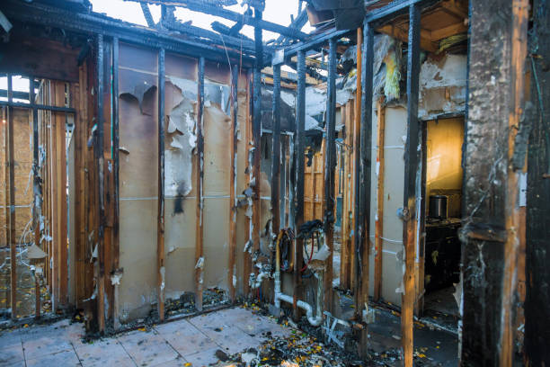 Professional Smoke Damage Removal technician working in Stevensville, MD